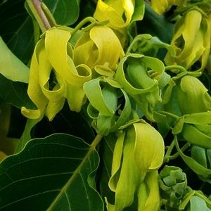 Meet your Posher, Maritess